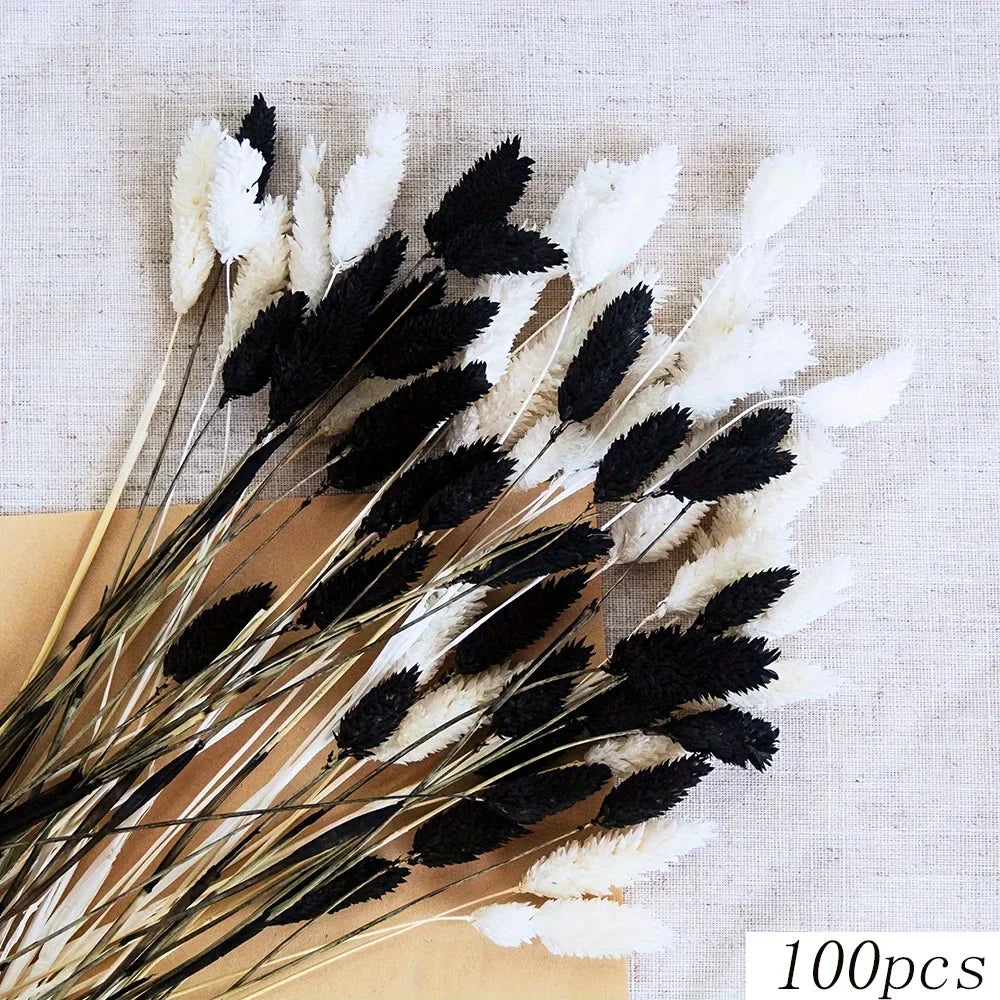 Boho Chic Bunny Tail Grass | Black & White Pampas