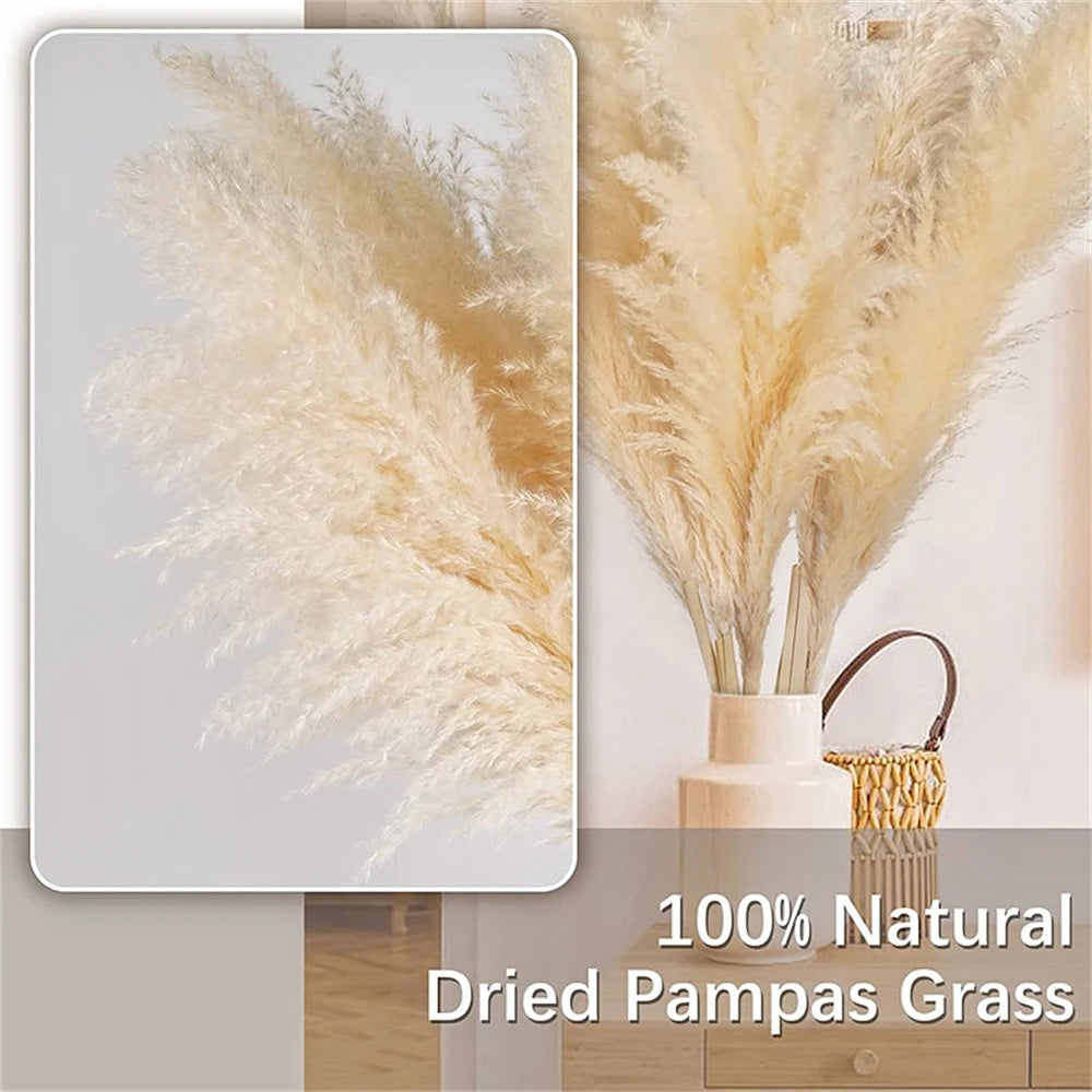 Large Dried Pampas Grass | Fluffy Boho Wedding & Home Decor
