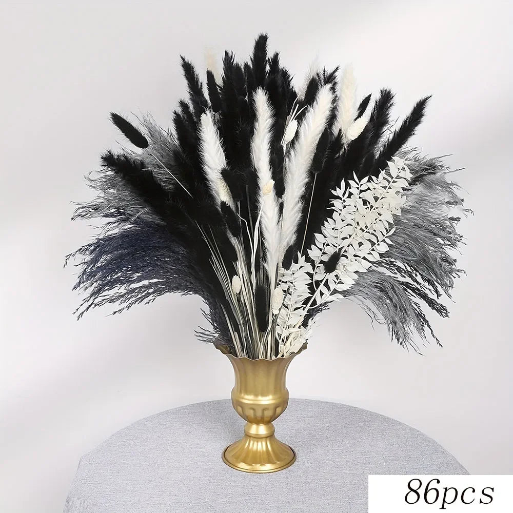 Boho Chic Bunny Tail Grass | Black & White Pampas
