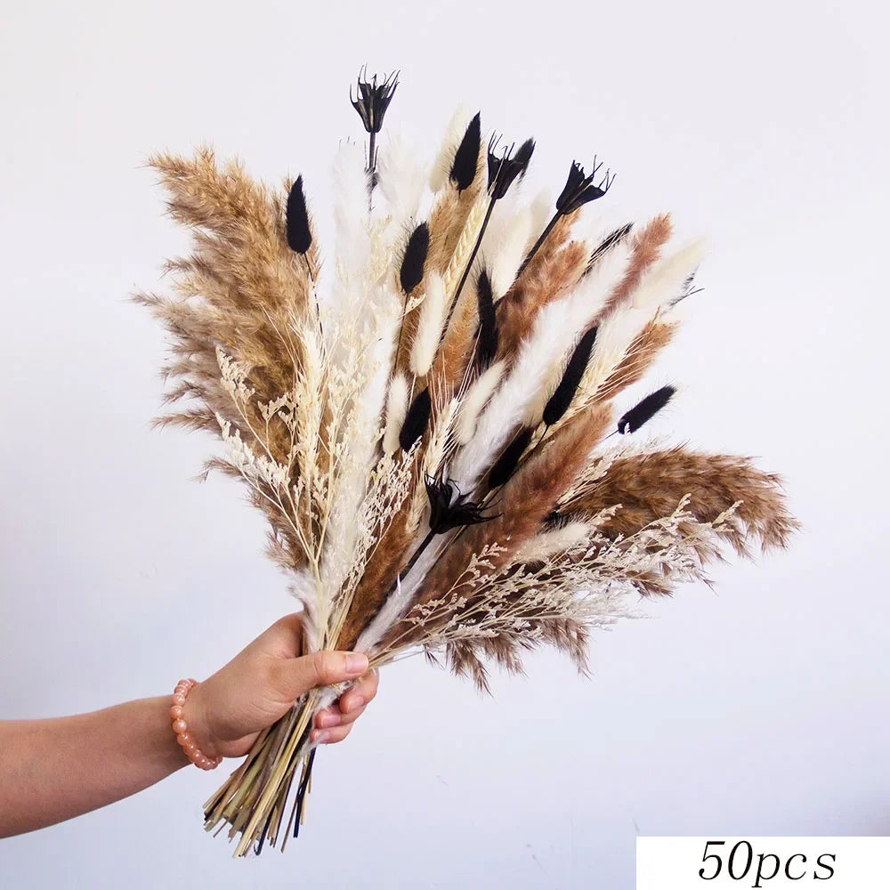Boho Chic Bunny Tail Grass | Black & White Pampas