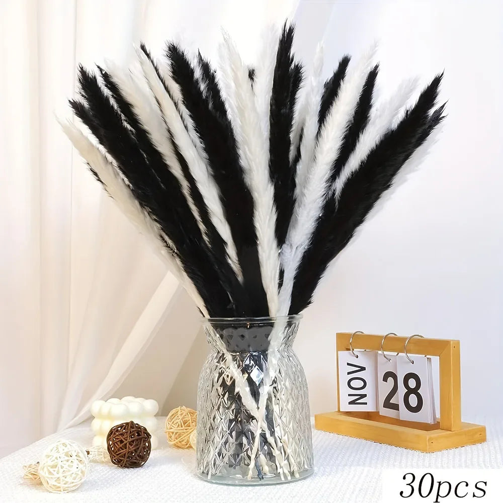 Boho Chic Bunny Tail Grass | Black & White Pampas