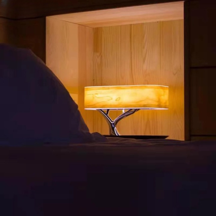 Light of Life Bedside Lamp | Smart Bedside LED Desk Lamp