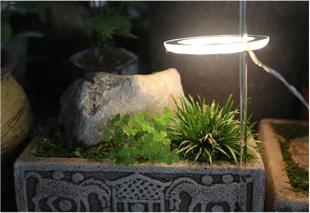 USB Phytolamp For Plants