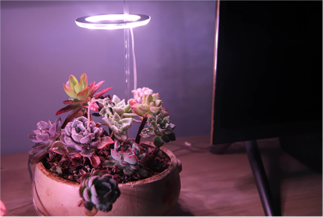 USB Phytolamp For Plants