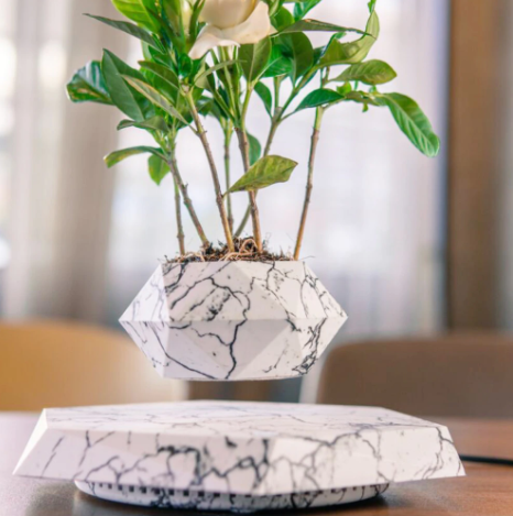 Floating Levitating Planter | Unique Bonsai Display