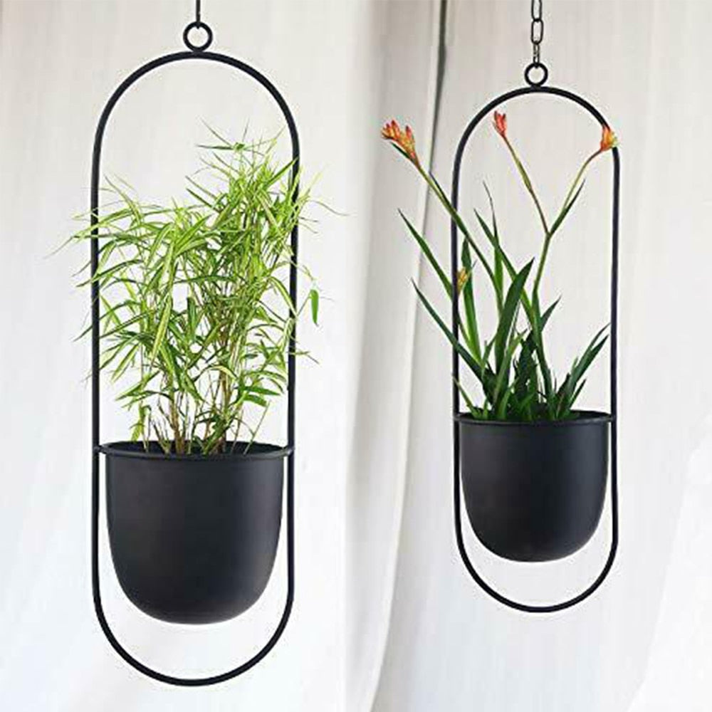 Hanging Flower Pot