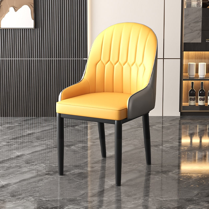 Modern dining chairs