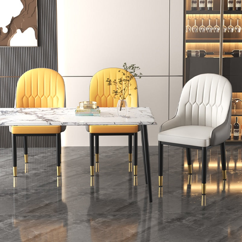 Modern dining chairs