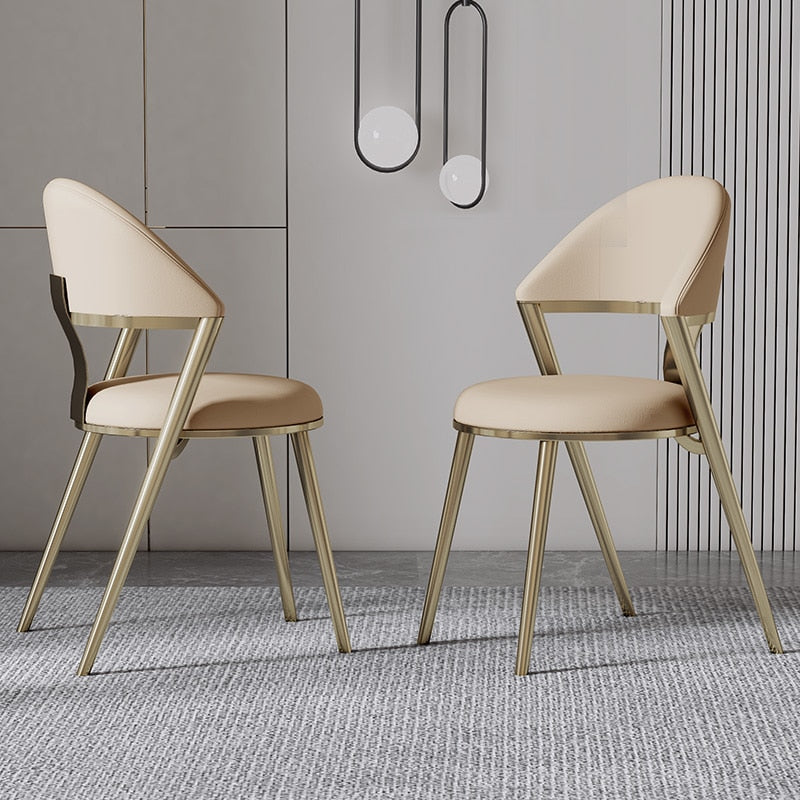 Contemporary dining chairs