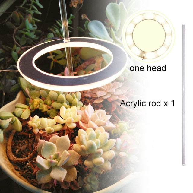 USB Phytolamp For Plants