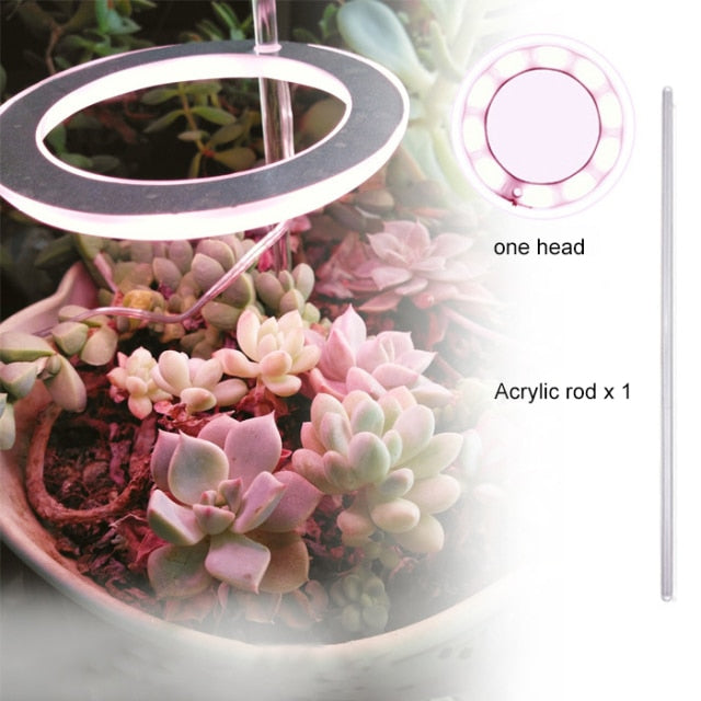 USB Phytolamp For Plants