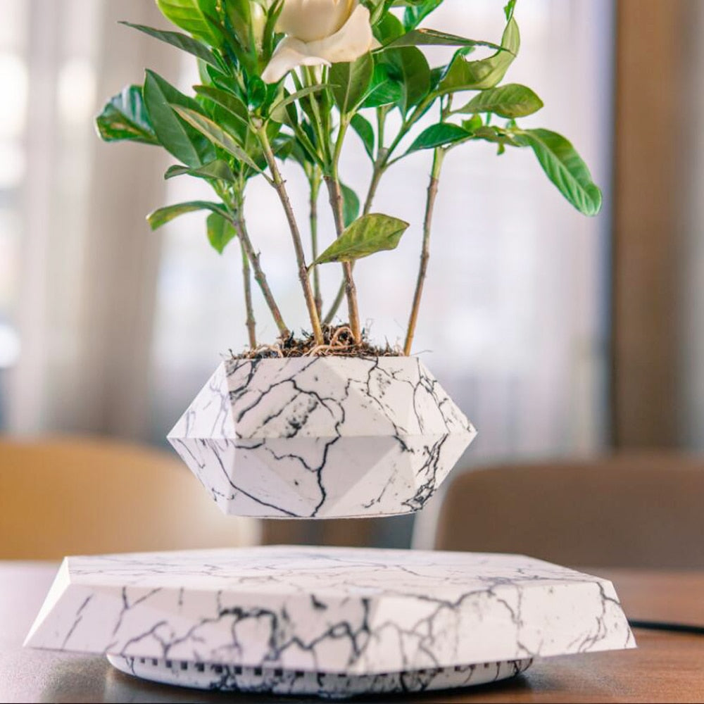 Floating Levitating Planter | Unique Bonsai Display
