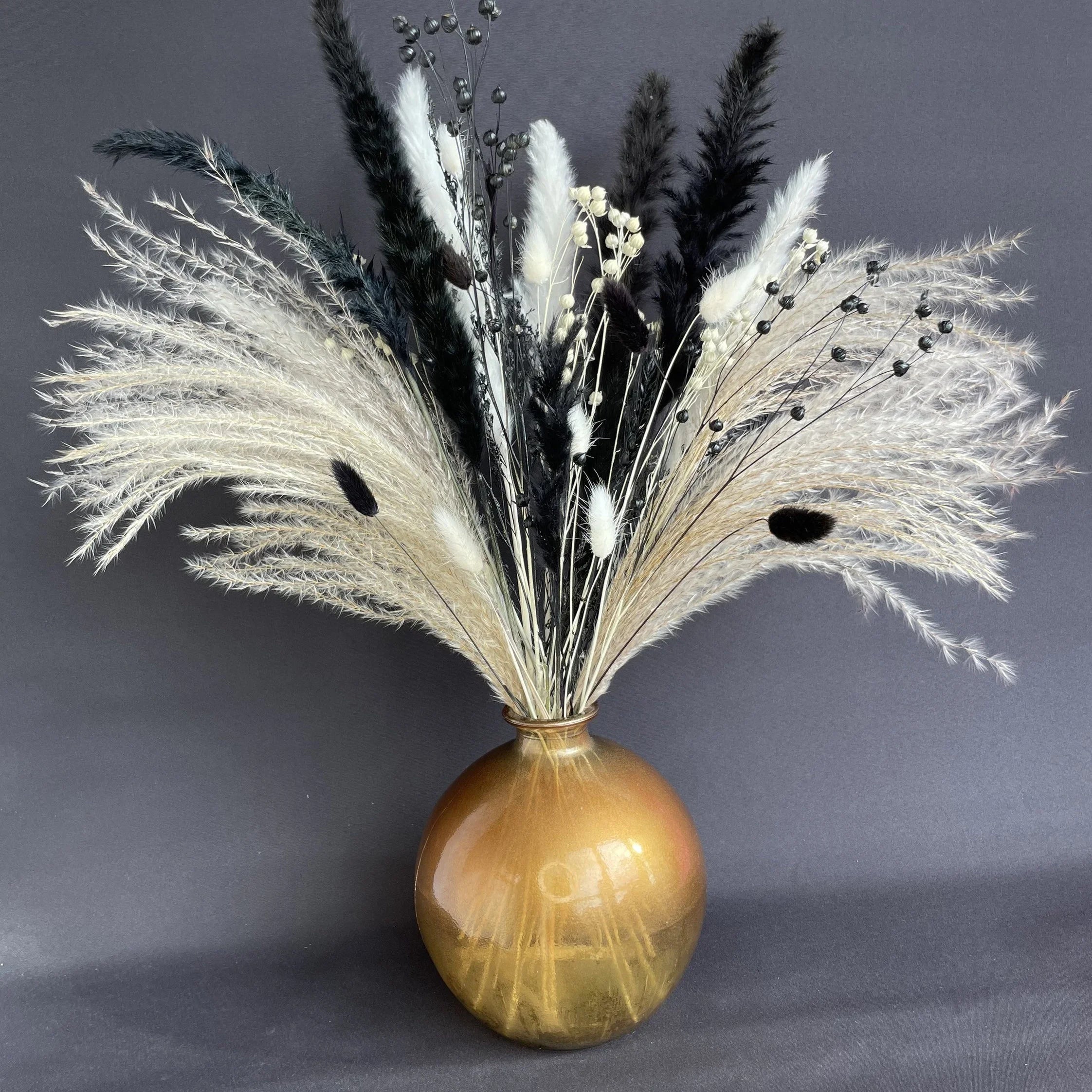 Boho Chic Bunny Tail Grass | Black & White Pampas