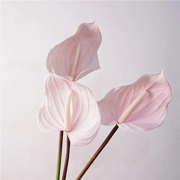 Artificial Anthurium & Calla Lily | Wedding & Event Decor