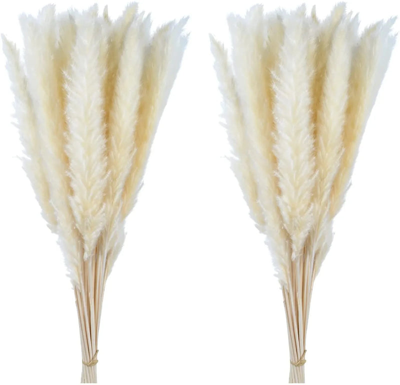 Natural Black Pampas Grass | Artificial Plants for Decoration