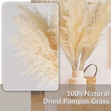 Large Dried Pampas Grass | Fluffy Boho Wedding & Home Decor