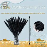 Natural Black Pampas Grass | Artificial Plants for Decoration