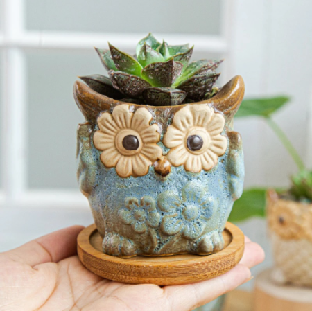 Owl Flower Pot