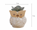 Owl Flower Pot