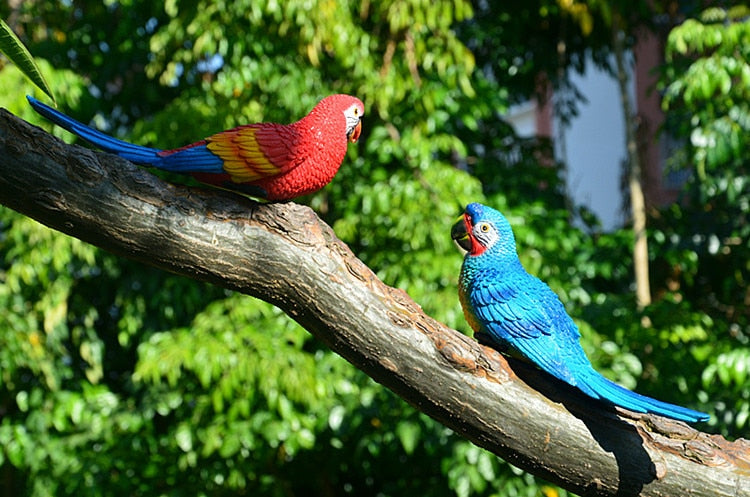 pear of garden parrot