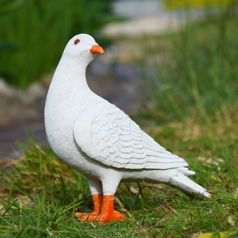 white pigeon 