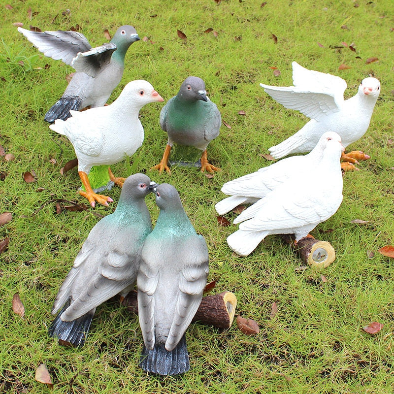 perfect  groups pigeon
