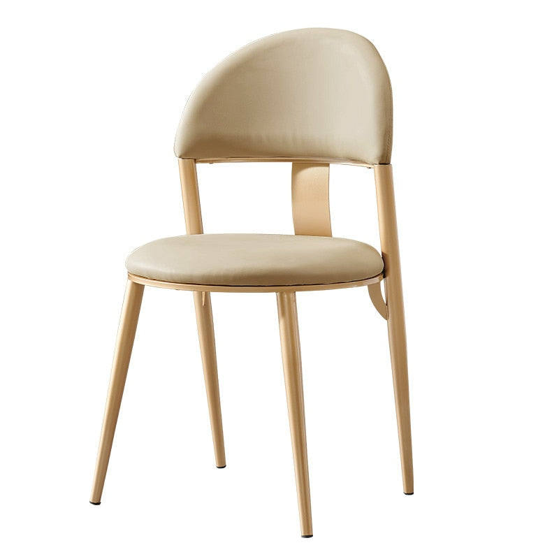 Contemporary dining chairs 