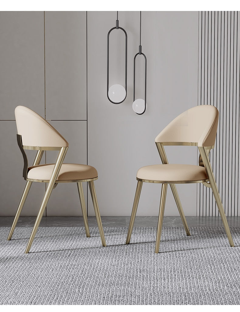 Contemporary dining chairs 