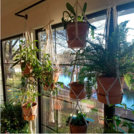 Hanging Plant Basket