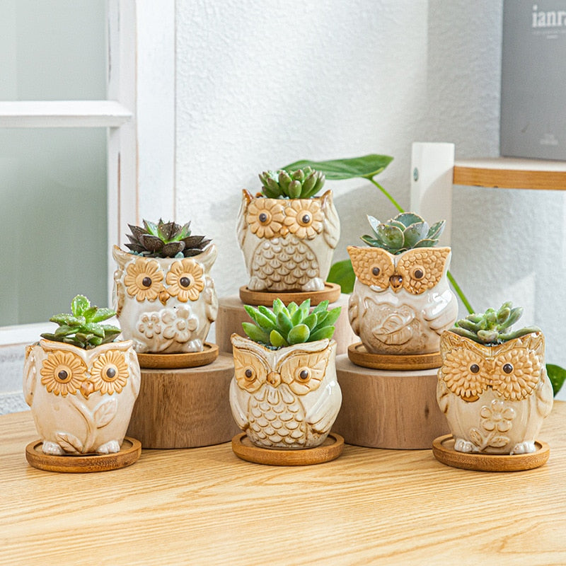 Owl Flower Pot